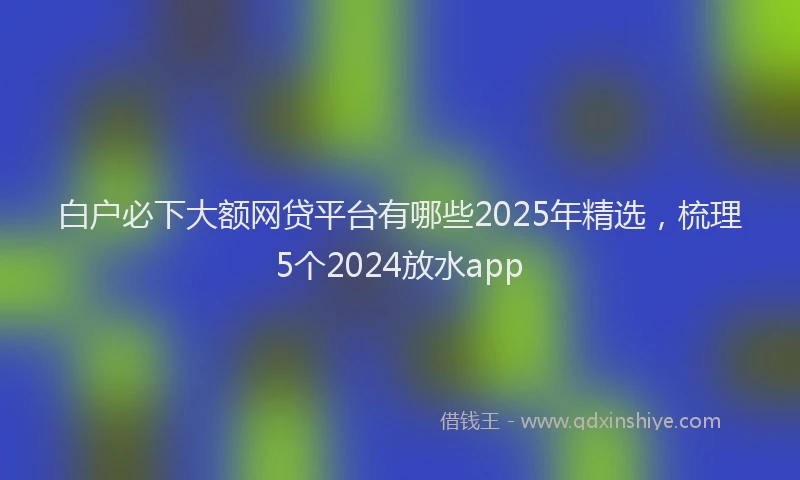 白户必下大额网贷平台有哪些2025年精选，梳理5个2024放水app