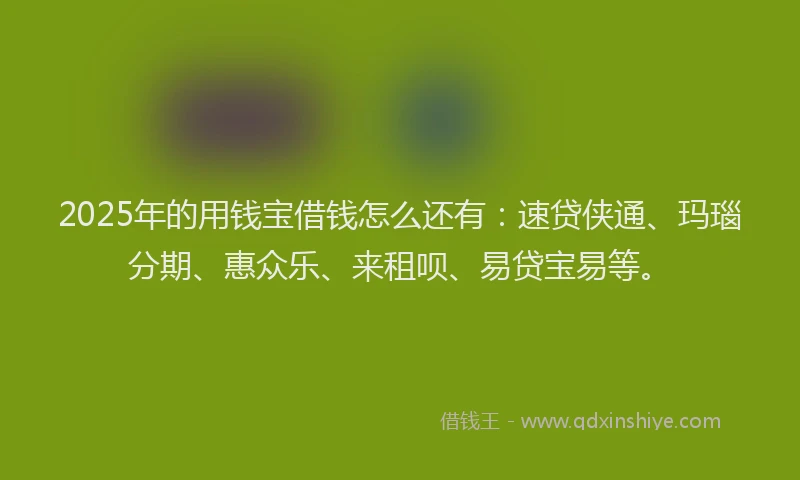 2025年的用钱宝借钱怎么还有：速贷侠通、玛瑙分期、惠众乐、来租呗、易贷宝易等。