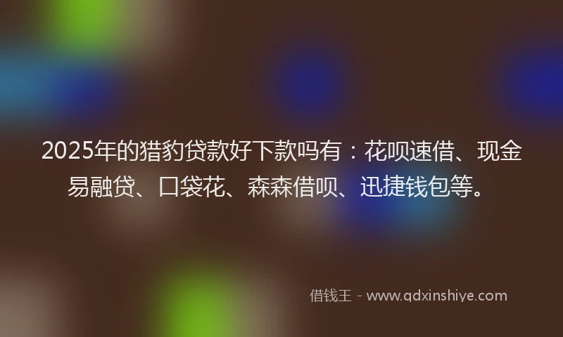 2025年的猎豹贷款好下款吗有：花呗速借、现金易融贷、口袋花、森森借呗、迅捷钱包等。