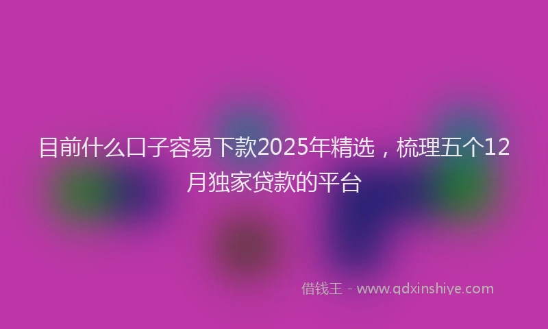 目前什么口子容易下款2025年精选，梳理五个12月独家贷款的平台