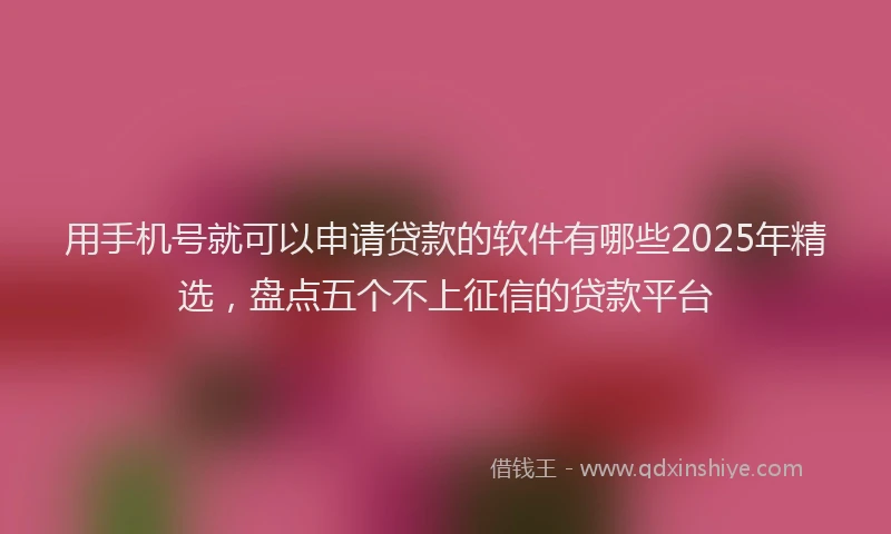 用手机号就可以申请贷款的软件有哪些2025年精选，盘点五个不上征信的贷款平台