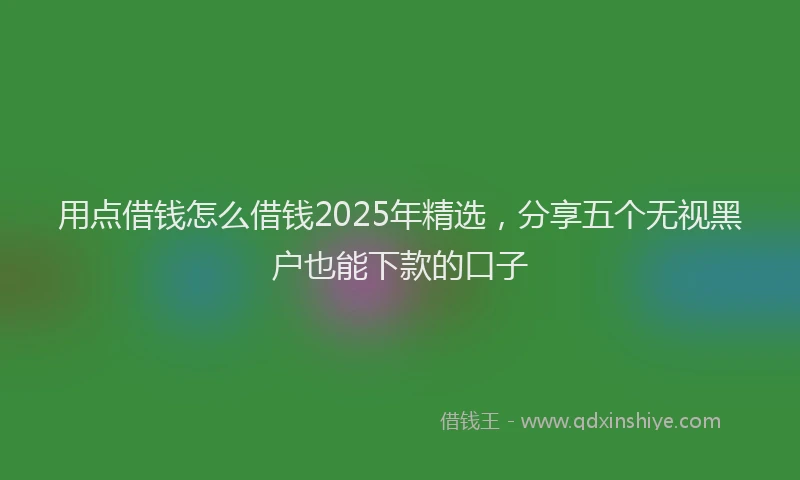 用点借钱怎么借钱2025年精选，分享五个无视黑户也能下款的口子