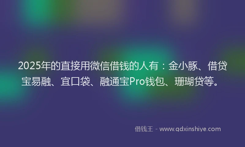 2025年的直接用微信借钱的人有：金小豚、借贷宝易融、宜口袋、融通宝Pro钱包、珊瑚贷等。