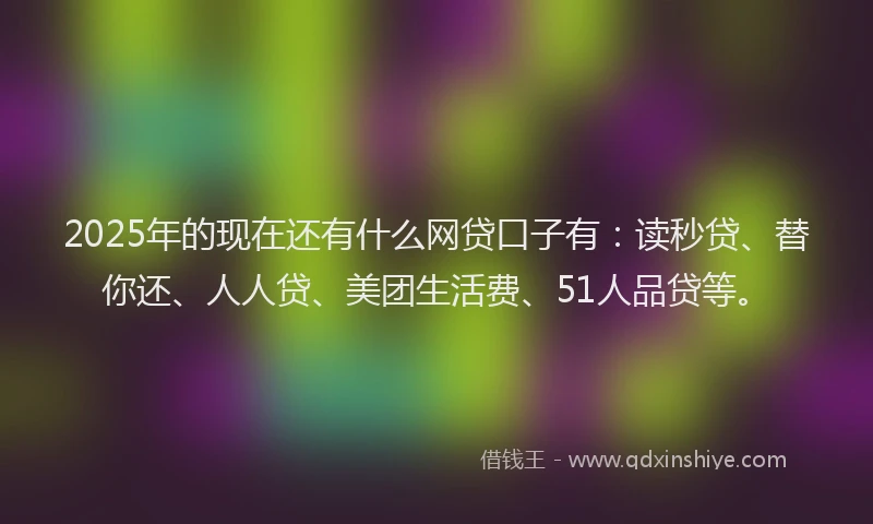 2025年的现在还有什么网贷口子有：读秒贷、替你还、人人贷、美团生活费、51人品贷等。