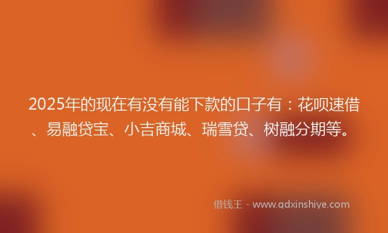 2025年的现在有没有能下款的口子有：花呗速借、易融贷宝、小吉商城、瑞雪贷、树融分期等。
