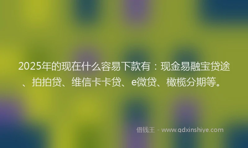2025年的现在什么容易下款有：现金易融宝贷途、拍拍贷、维信卡卡贷、e微贷、橄榄分期等。