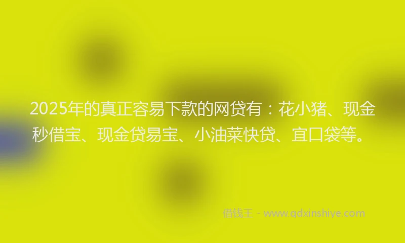 2025年的真正容易下款的网贷有：花小猪、现金秒借宝、现金贷易宝、小油菜快贷、宜口袋等。