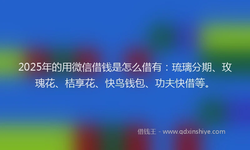 2025年的用微信借钱是怎么借有：琉璃分期、玫瑰花、桔享花、快鸟钱包、功夫快借等。