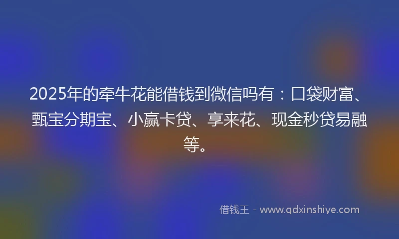 2025年的牵牛花能借钱到微信吗有：口袋财富、甄宝分期宝、小赢卡贷、享来花、现金秒贷易融等。