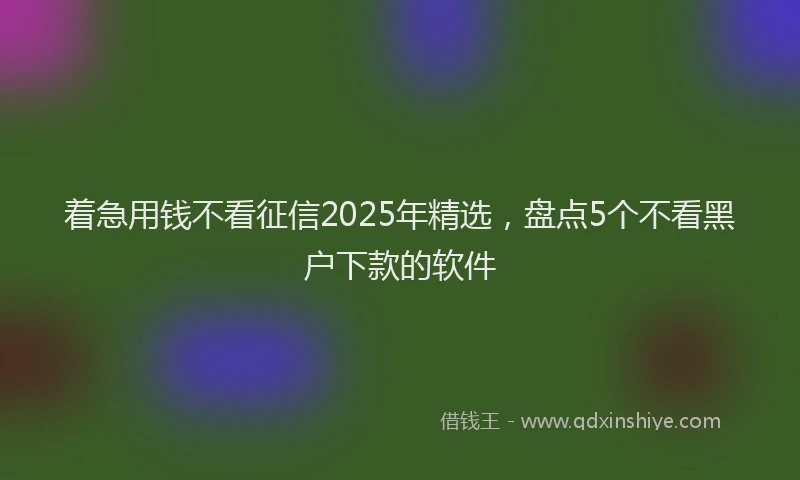 着急用钱不看征信2025年精选，盘点5个不看黑户下款的软件