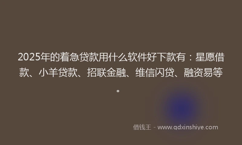 2025年的着急贷款用什么软件好下款有：星愿借款、小羊贷款、招联金融、维信闪贷、融资易等。