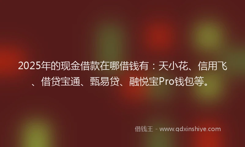 2025年的现金借款在哪借钱有：天小花、信用飞、借贷宝通、甄易贷、融悦宝Pro钱包等。