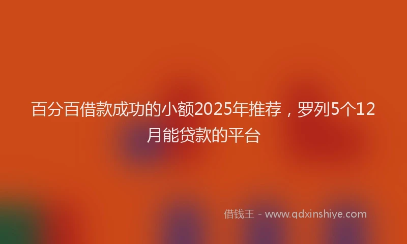 百分百借款成功的小额2025年推荐，罗列5个12月能贷款的平台