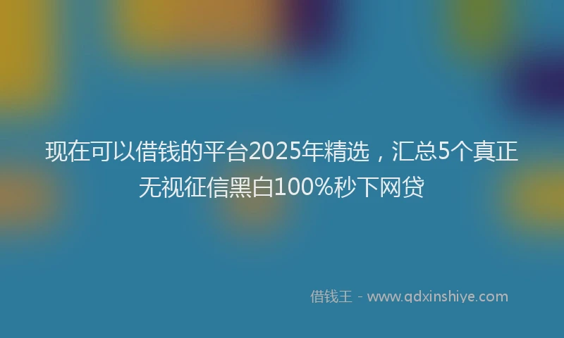 现在可以借钱的平台2025年精选，汇总5个真正无视征信黑白100%秒下网贷