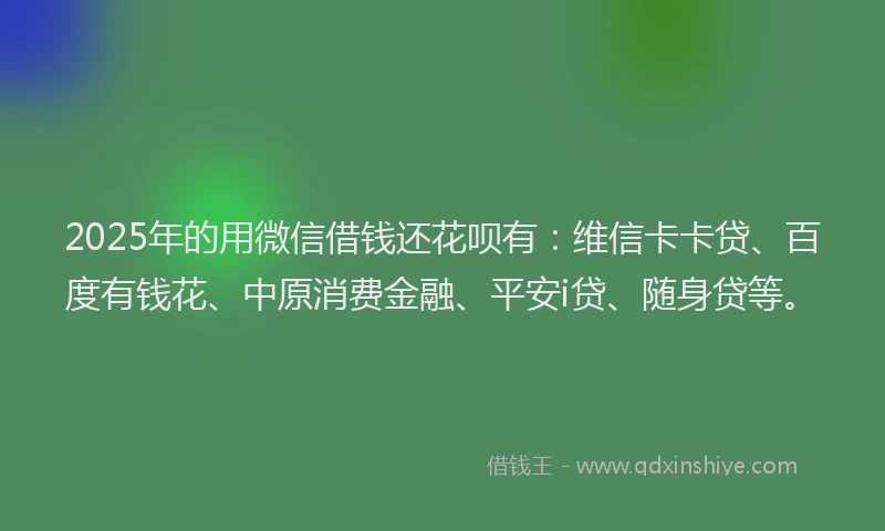 2025年的用微信借钱还花呗有：维信卡卡贷、百度有钱花、中原消费金融、平安i贷、随身贷等。
