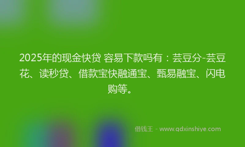 2025年的现金快贷 容易下款吗有：芸豆分-芸豆花、读秒贷、借款宝快融通宝、甄易融宝、闪电购等。