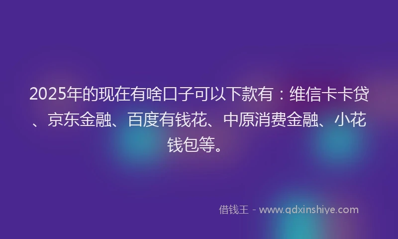 2025年的现在有啥口子可以下款有：维信卡卡贷、京东金融、百度有钱花、中原消费金融、小花钱包等。