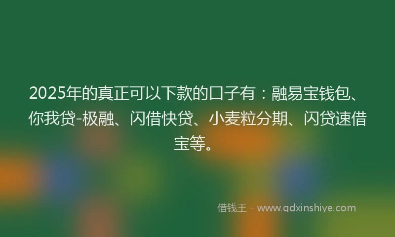 2025年的真正可以下款的口子有：融易宝钱包、你我贷-极融、闪借快贷、小麦粒分期、闪贷速借宝等。