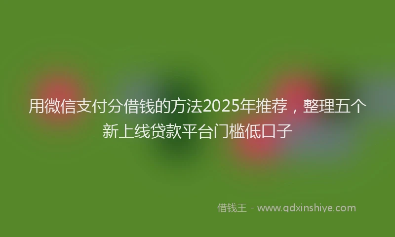 用微信支付分借钱的方法2025年推荐，整理五个新上线贷款平台门槛低口子