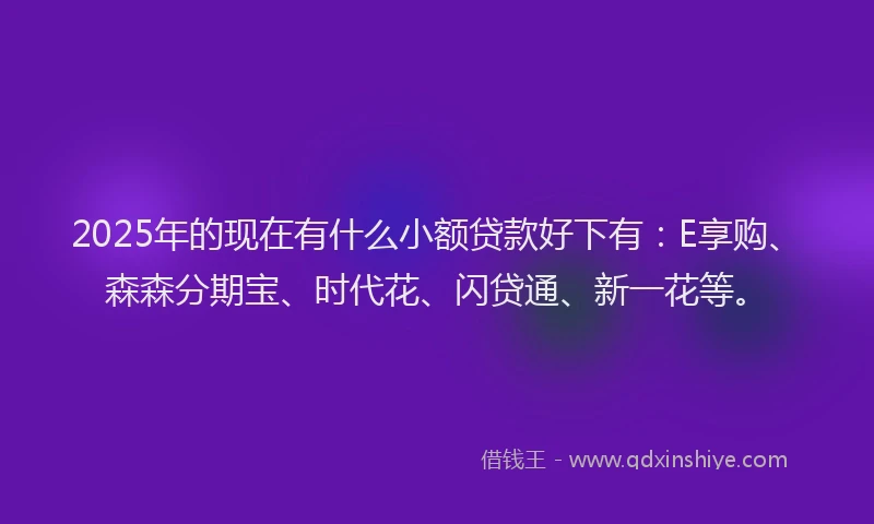 2025年的现在有什么小额贷款好下有：E享购、森森分期宝、时代花、闪贷通、新一花等。