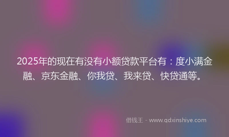 2025年的现在有没有小额贷款平台有：度小满金融、京东金融、你我贷、我来贷、快贷通等。