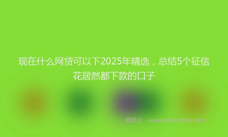 现在什么网贷可以下2025年精选，总结5个征信花居然都下款的口子