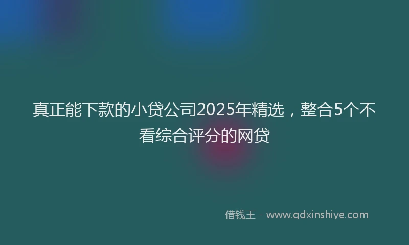 真正能下款的小贷公司2025年精选，整合5个不看综合评分的网贷