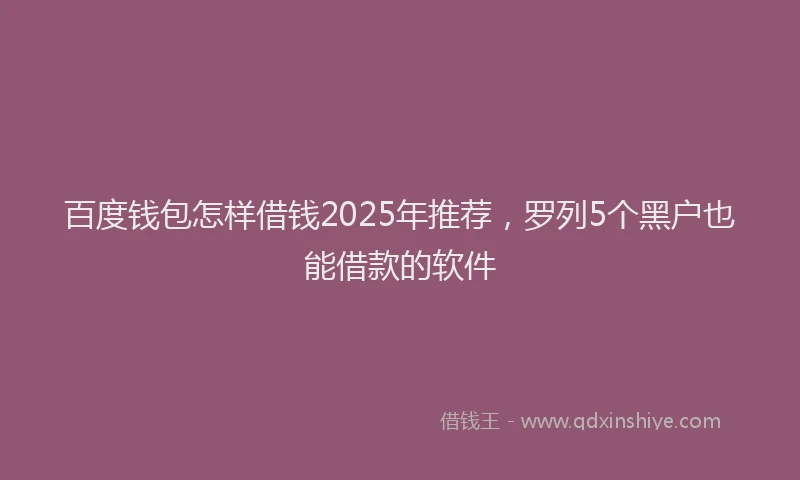百度钱包怎样借钱2025年推荐，罗列5个黑户也能借款的软件