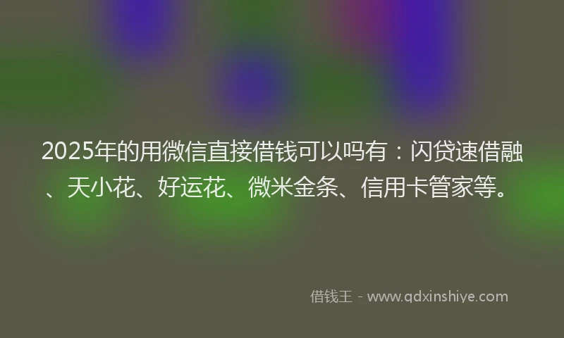 2025年的用微信直接借钱可以吗有：闪贷速借融、天小花、好运花、微米金条、信用卡管家等。
