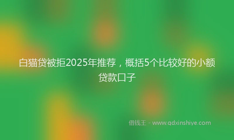 白猫贷被拒2025年推荐，概括5个比较好的小额贷款口子