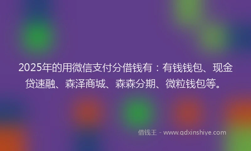 2025年的用微信支付分借钱有：有钱钱包、现金贷速融、森泽商城、森森分期、微粒钱包等。