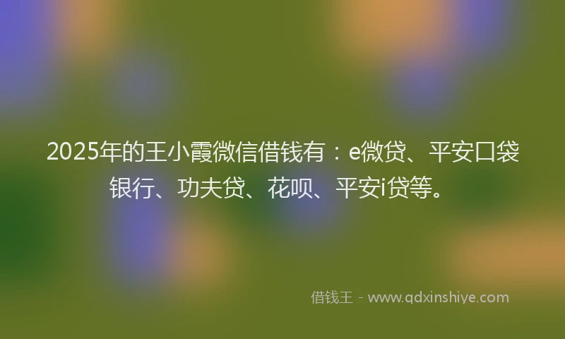 2025年的王小霞微信借钱有：e微贷、平安口袋银行、功夫贷、花呗、平安i贷等。