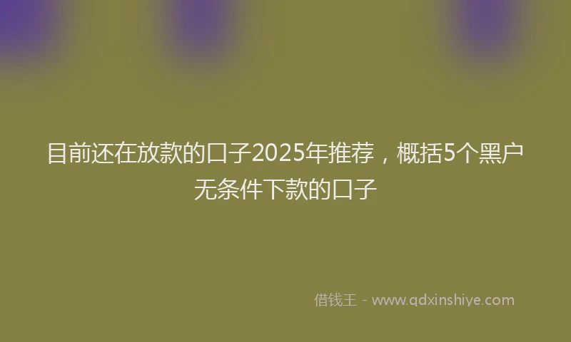 目前还在放款的口子2025年推荐，概括5个黑户无条件下款的口子