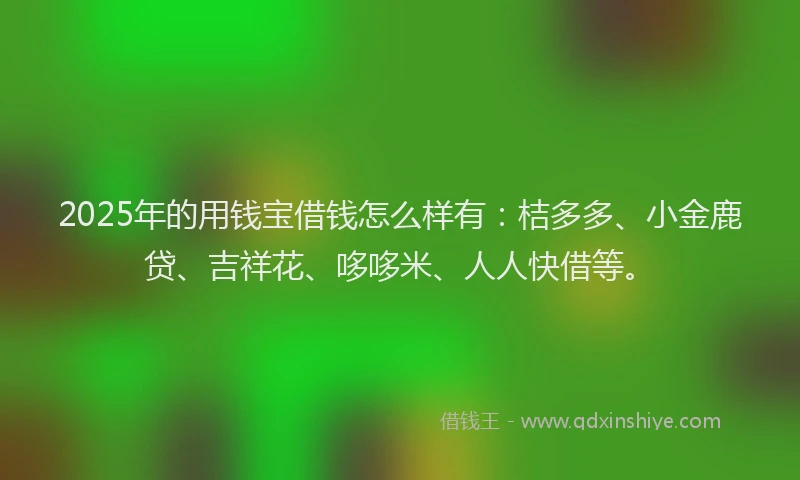 2025年的用钱宝借钱怎么样有：桔多多、小金鹿贷、吉祥花、哆哆米、人人快借等。