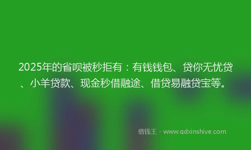 2025年的省呗被秒拒有：有钱钱包、贷你无忧贷、小羊贷款、现金秒借融途、借贷易融贷宝等。