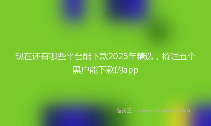 现在还有哪些平台能下款2025年精选，梳理五个黑户能下款的app