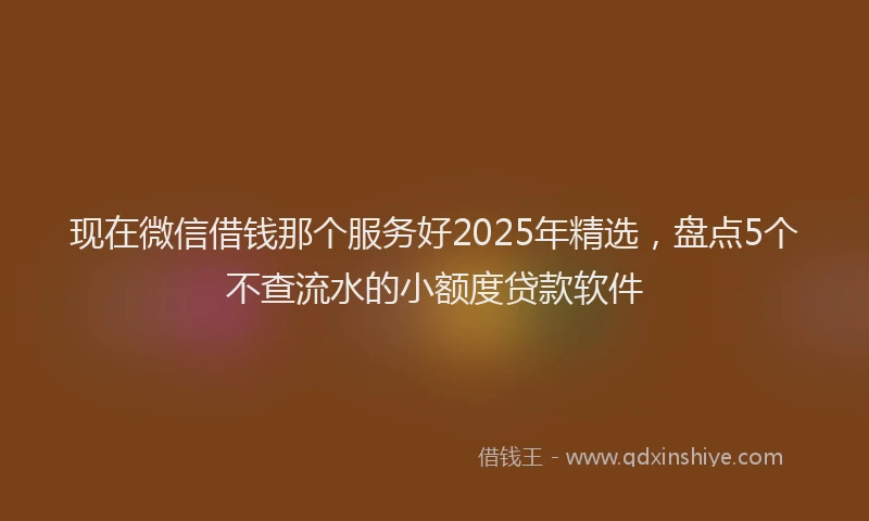 现在微信借钱那个服务好2025年精选，盘点5个不查流水的小额度贷款软件