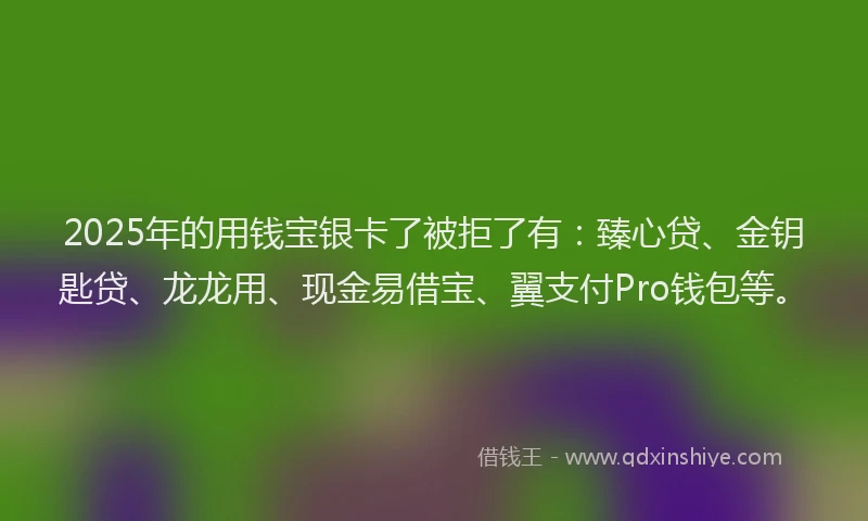 2025年的用钱宝银卡了被拒了有：臻心贷、金钥匙贷、龙龙用、现金易借宝、翼支付Pro钱包等。