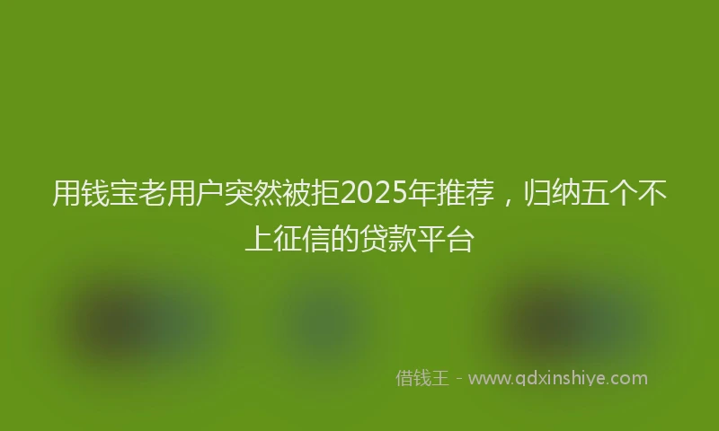 用钱宝老用户突然被拒2025年推荐，归纳五个不上征信的贷款平台