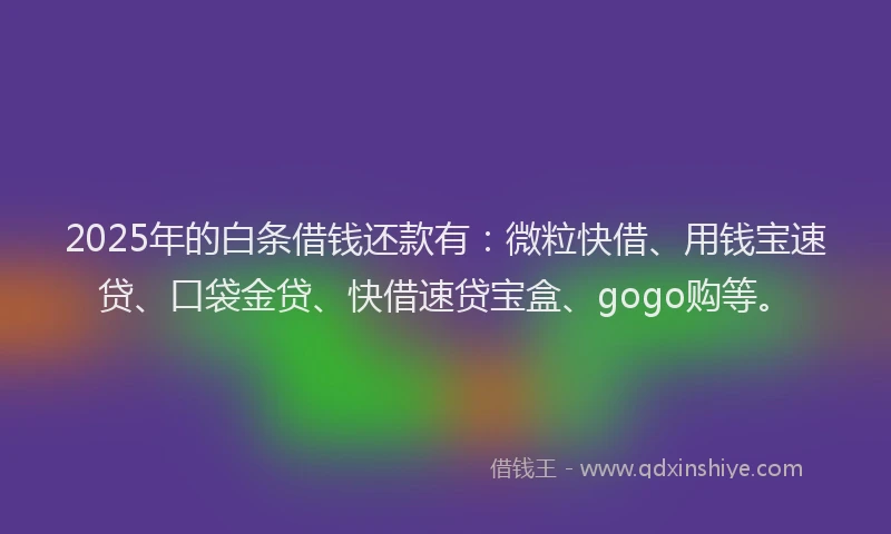 2025年的白条借钱还款有：微粒快借、用钱宝速贷、口袋金贷、快借速贷宝盒、gogo购等。