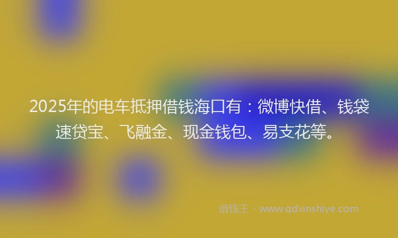 2025年的电车抵押借钱海口有：微博快借、钱袋速贷宝、飞融金、现金钱包、易支花等。