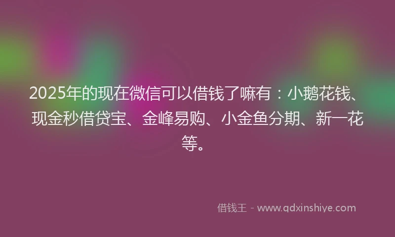 2025年的现在微信可以借钱了嘛有：小鹅花钱、现金秒借贷宝、金峰易购、小金鱼分期、新一花等。