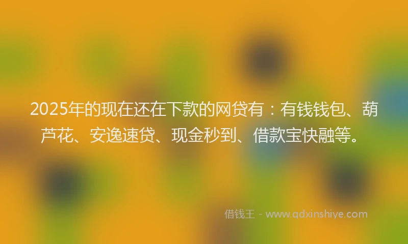 2025年的现在还在下款的网贷有：有钱钱包、葫芦花、安逸速贷、现金秒到、借款宝快融等。