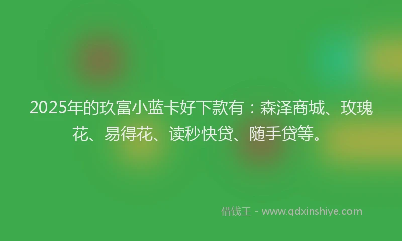 2025年的玖富小蓝卡好下款有：森泽商城、玫瑰花、易得花、读秒快贷、随手贷等。