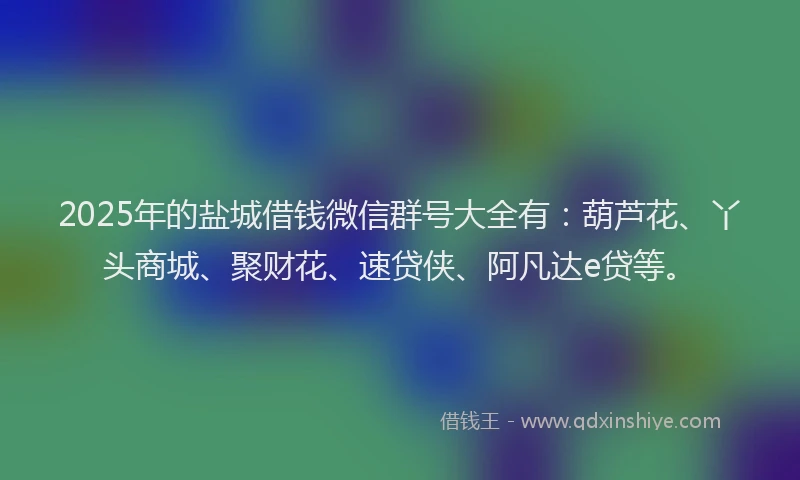 2025年的盐城借钱微信群号大全有：葫芦花、丫头商城、聚财花、速贷侠、阿凡达e贷等。