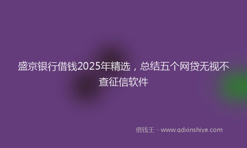 盛京银行借钱2025年精选，总结五个网贷无视不查征信软件