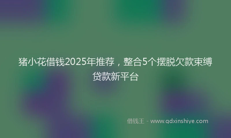 猪小花借钱2025年推荐，整合5个摆脱欠款束缚贷款新平台