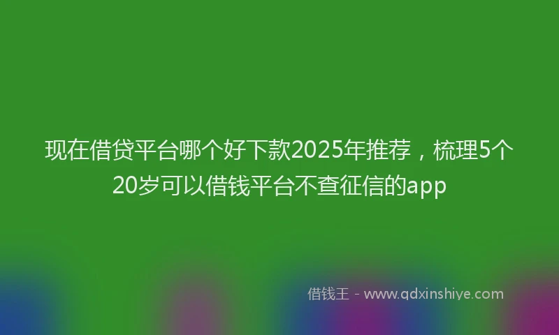 现在借贷平台哪个好下款2025年推荐，梳理5个20岁可以借钱平台不查征信的app