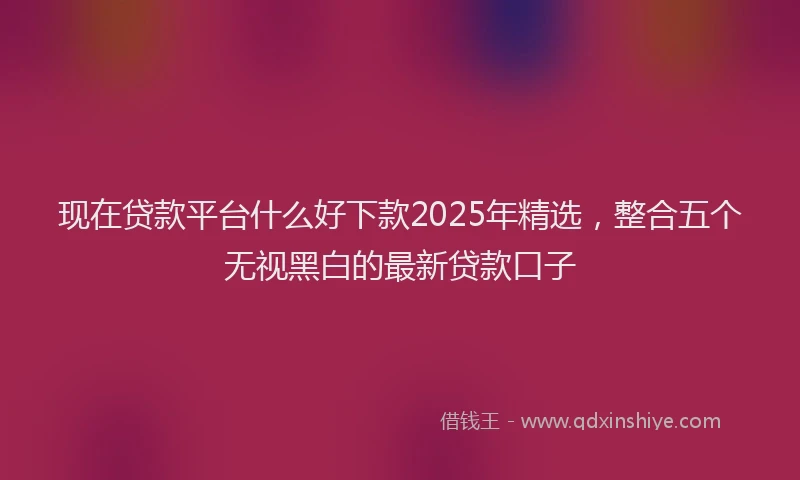 现在贷款平台什么好下款2025年精选，整合五个无视黑白的最新贷款口子