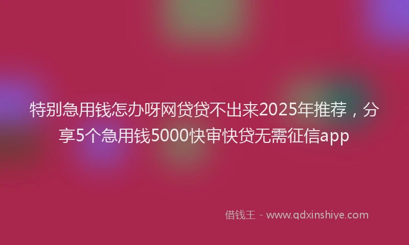 特别急用钱怎办呀网贷贷不出来2025年推荐，分享5个急用钱5000快审快贷无需征信app